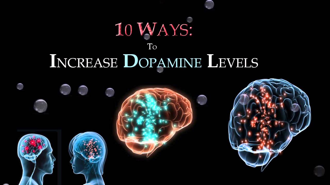 Increase Dopamine Content in Human Body
