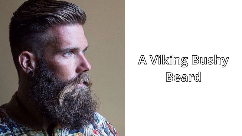 A_Viking_Bushy_Beard